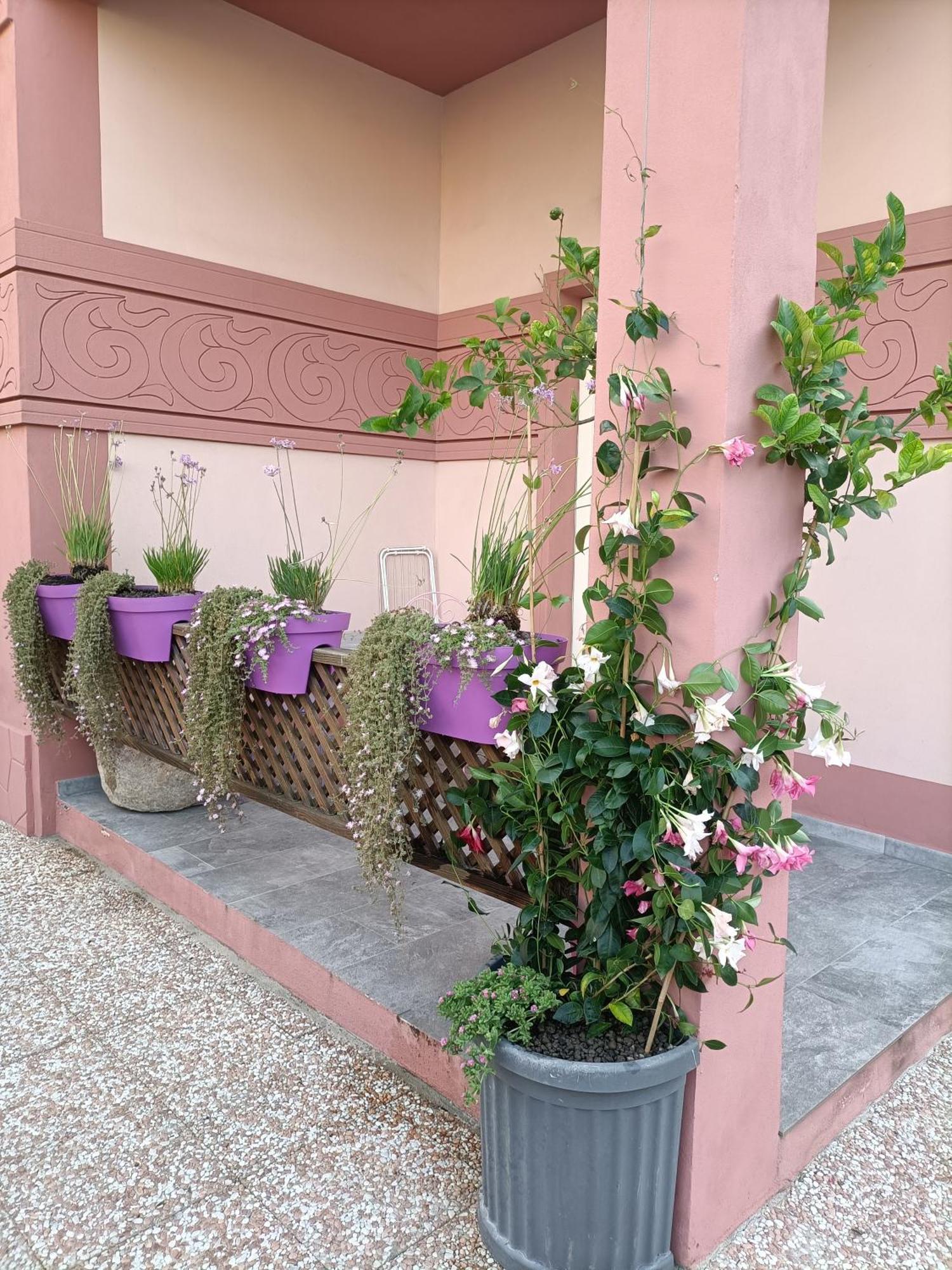 Maison Belle Epoque & Suites Οριστάνο Δωμάτιο φωτογραφία